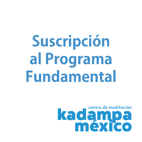 Suscripción al Programa Fundamental (copia)