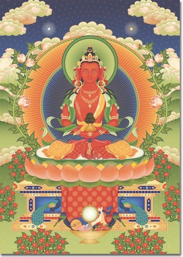 [A5AMTY2] A5: Amitayus 2 