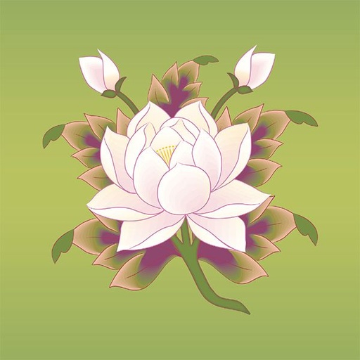 [IRLP] Imagen relieve: Vasija Preciosa, La (copia)